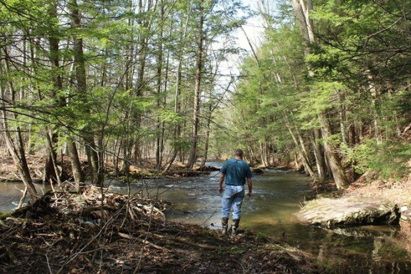 21241282_fb_1501041521.8277_funddescription