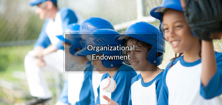 organizational_endowment
